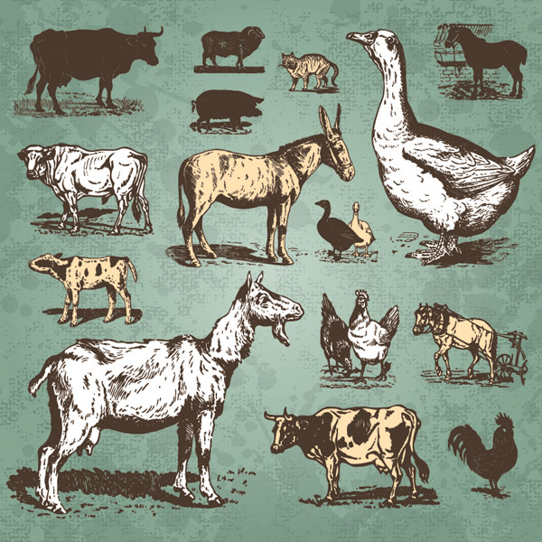 free vector Poultry animals vector standard